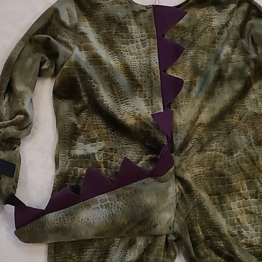 Dinosaur Or Dragon Costume Child XS 4/6?